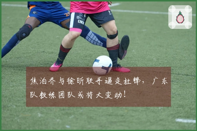 焦泊乔与徐昕联手逼走杜锋，广东队教练团队或将大变动！