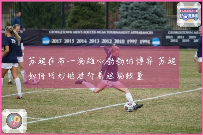 苏超在布一场雄心勃勃的博弈 苏超如何巧妙地进行着这场较量